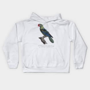 Great-Billed Parrot / Le Perroquet a bec couleur de sang - 19th century Jacques Barraband Illustration Kids Hoodie